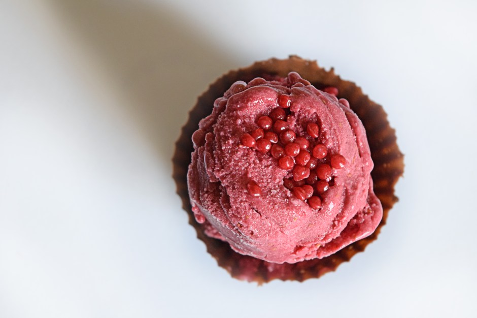 RaspberryProteinFluff_IceCream2