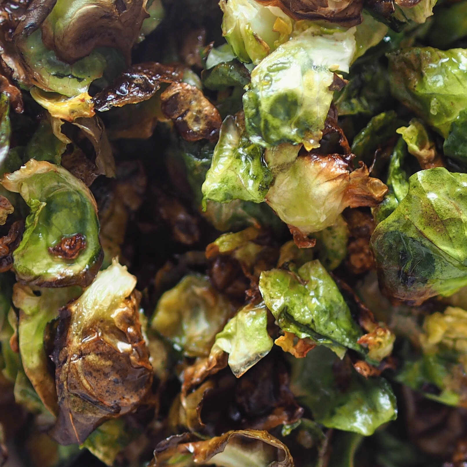 Veganuary Week Uno 🌱